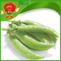 Frozen sugar snap peas from chinese supplier